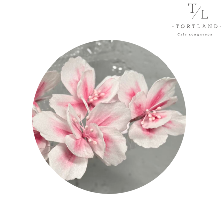 Вафельний декор "Квітка фантазія тонована яскраво-рожева", 1 шт.
