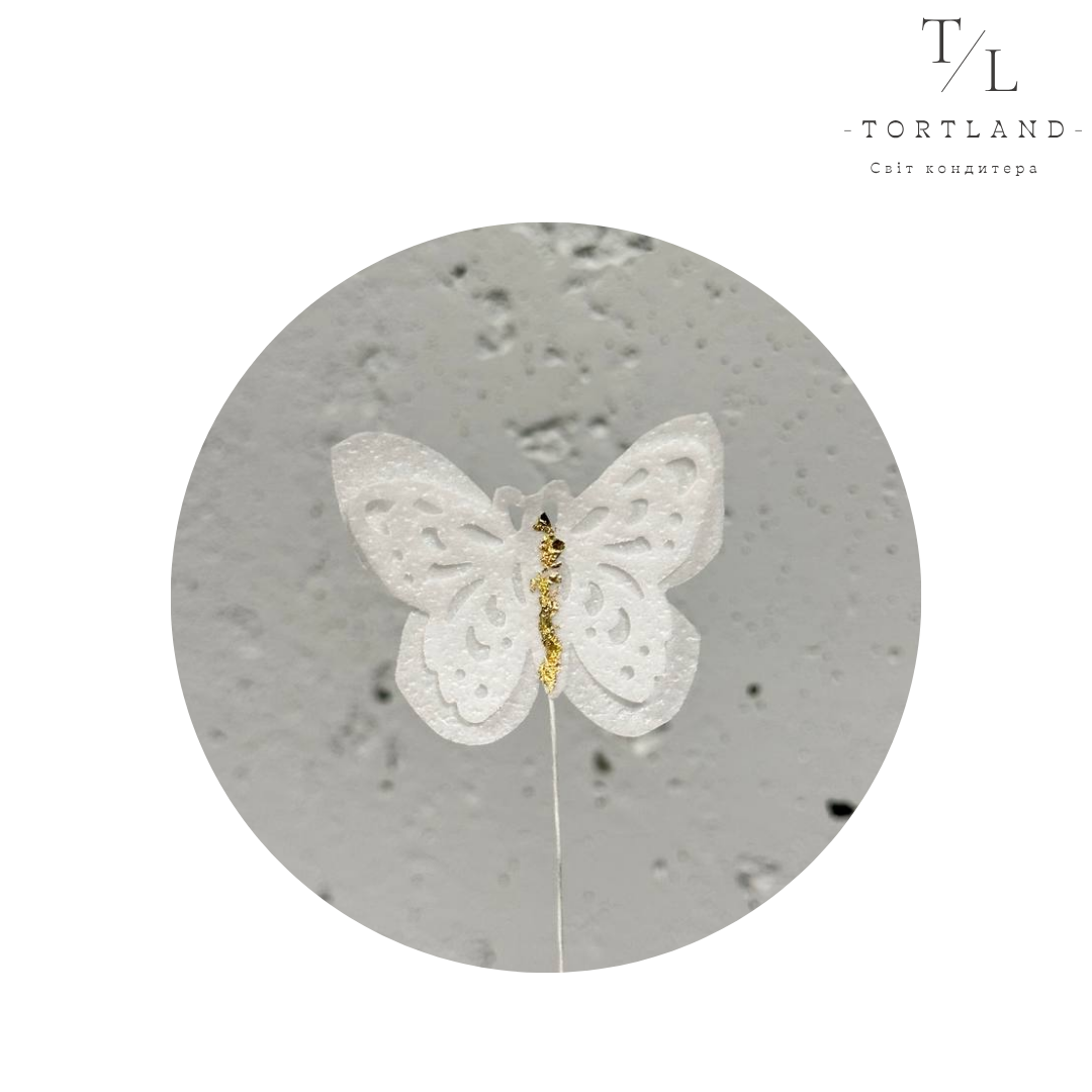 200 мл, копія, копія, копія, копія, копія - 2025-10-23T223441.656