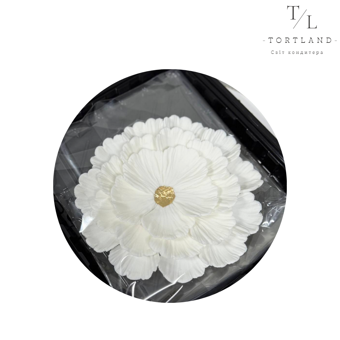 200 мл, копія, копія, копія, копія, копія (92)