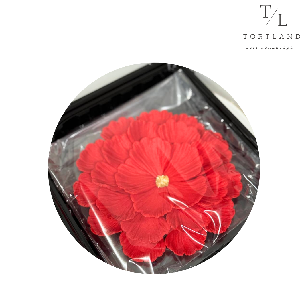 200 мл, копія, копія, копія, копія, копія (93)