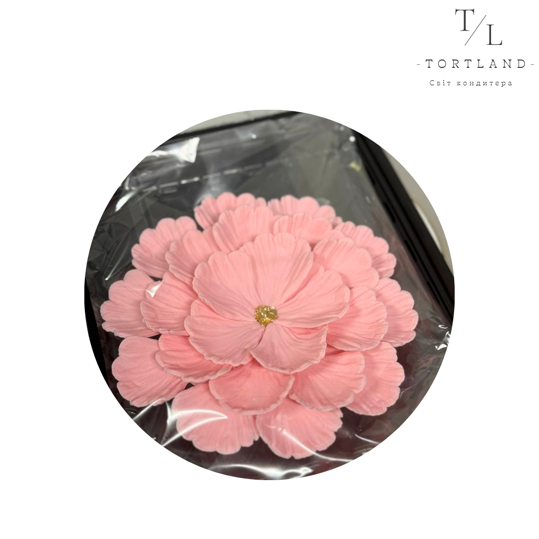 200 мл, копія, копія, копія, копія, копія (94)