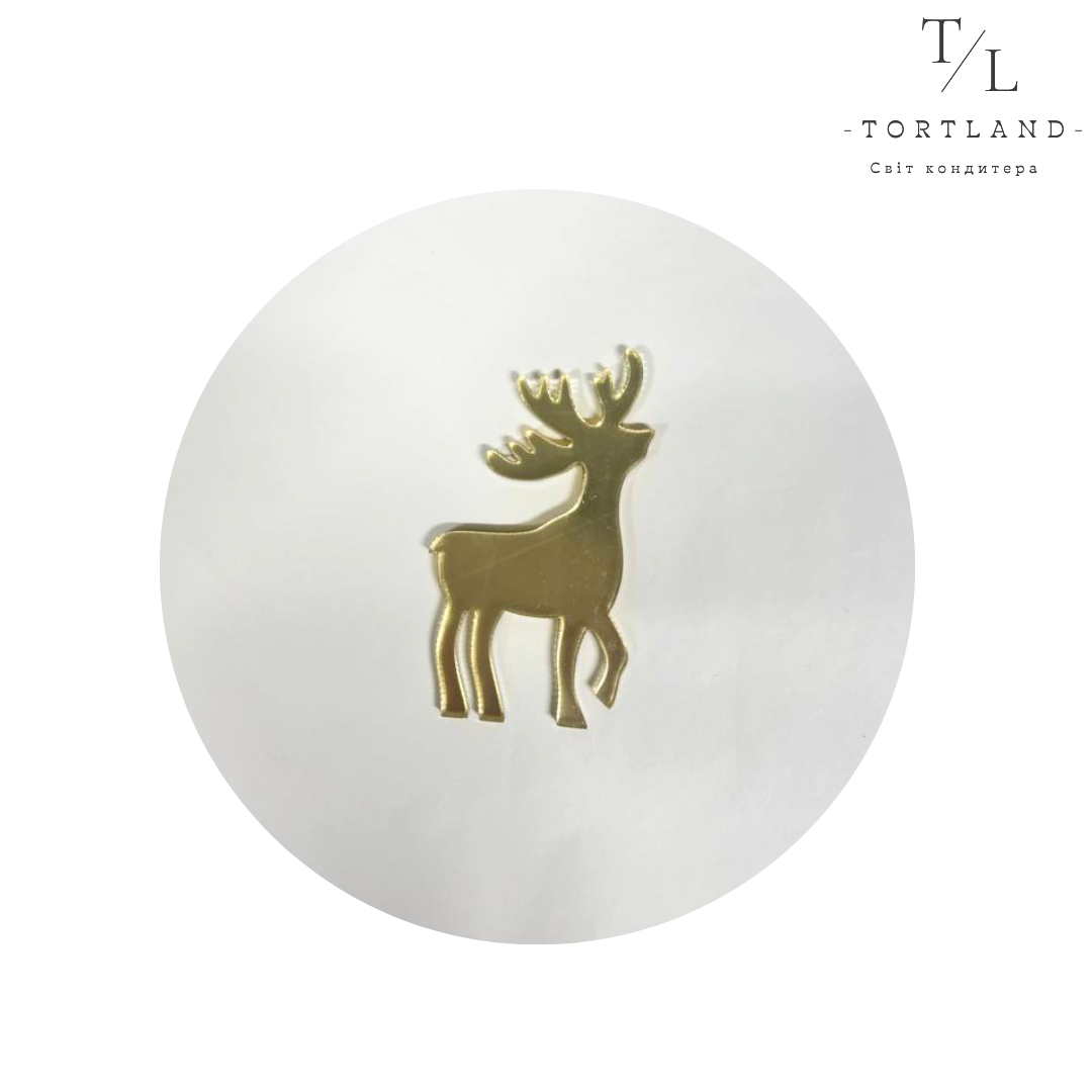 120, копія, копія - 2025-12-10T160126.612