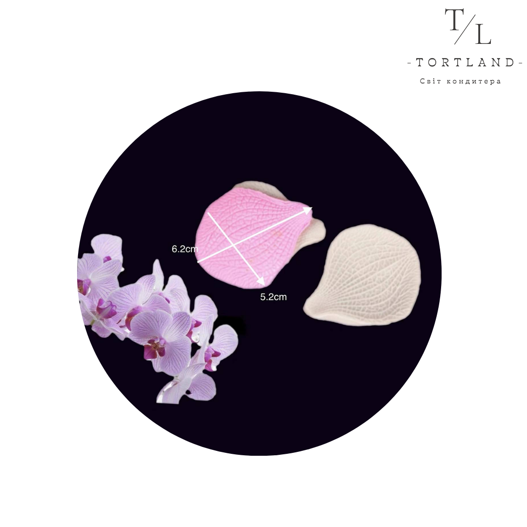 120, копія, копія - 2025-12-15T173857.455