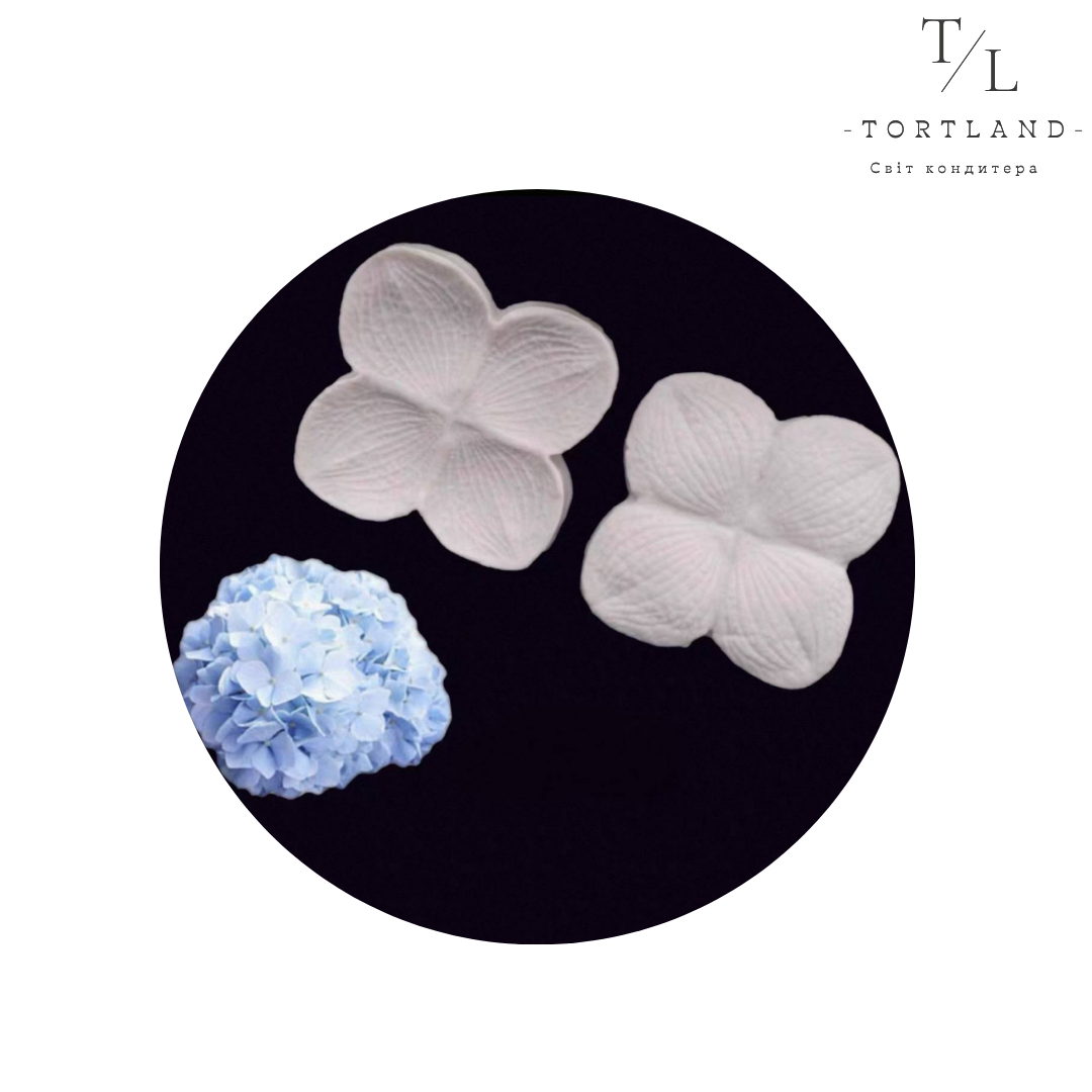 120, копія, копія - 2025-12-15T173907.473