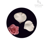 120, копія, копія – 2025-12-15T174000.384