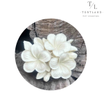 Силіконовий молд "Гілочка плюмерії"