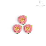 Набір "Троянда садова кремово-рожевий"