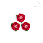 Набір "Троянда садова рожево-червоний"