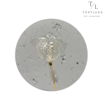 Льодяник ізомальт круглий прозорий