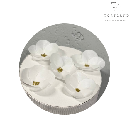 Вафельні квіти "Весняна ромашка" d-5.5 см, 5 шт