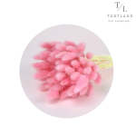 Лагурус рожевий дрібний, 10 шт