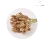 Лагурус коричневий дрібний, 10 шт