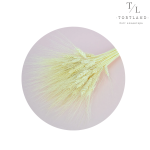 Пшениця "Жизель" вибілена,  5 шт