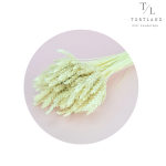 Пшениця натуральна висвітлена, 5 шт