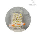 Набір "Квітка-маргаритка моно біла, 50 шт"