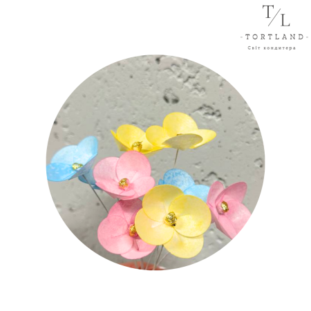 Набір вафельний квітів "Незабу́дка різнокольорова",  9 шт