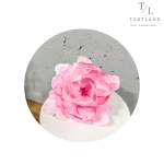 120, копія, копія – 2026-03-16T204322.721