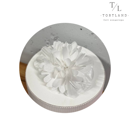Вафельний декор "Піон білий купчастий d-11-13 см ", 1 шт