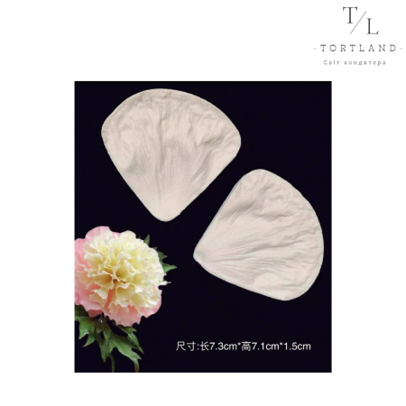 Вайнер "Пелюстка піона"