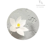 Вафельний декор "Нарцис", 1  шт