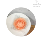 120, копія, копія – 2026-04-08T004213.062