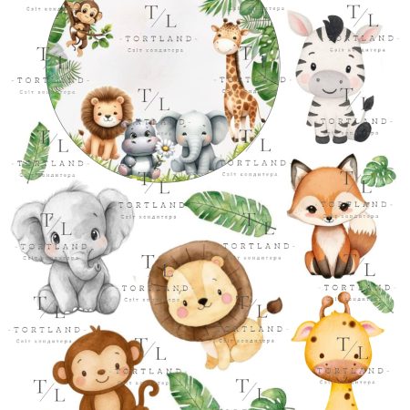 Макет "Сафарі