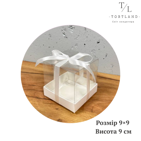 Коробка з прозорою кришкою біла 9×9×9 см