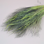 120 – 2026-07-29T234149.678