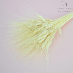 120 – 2026-07-29T234409.306