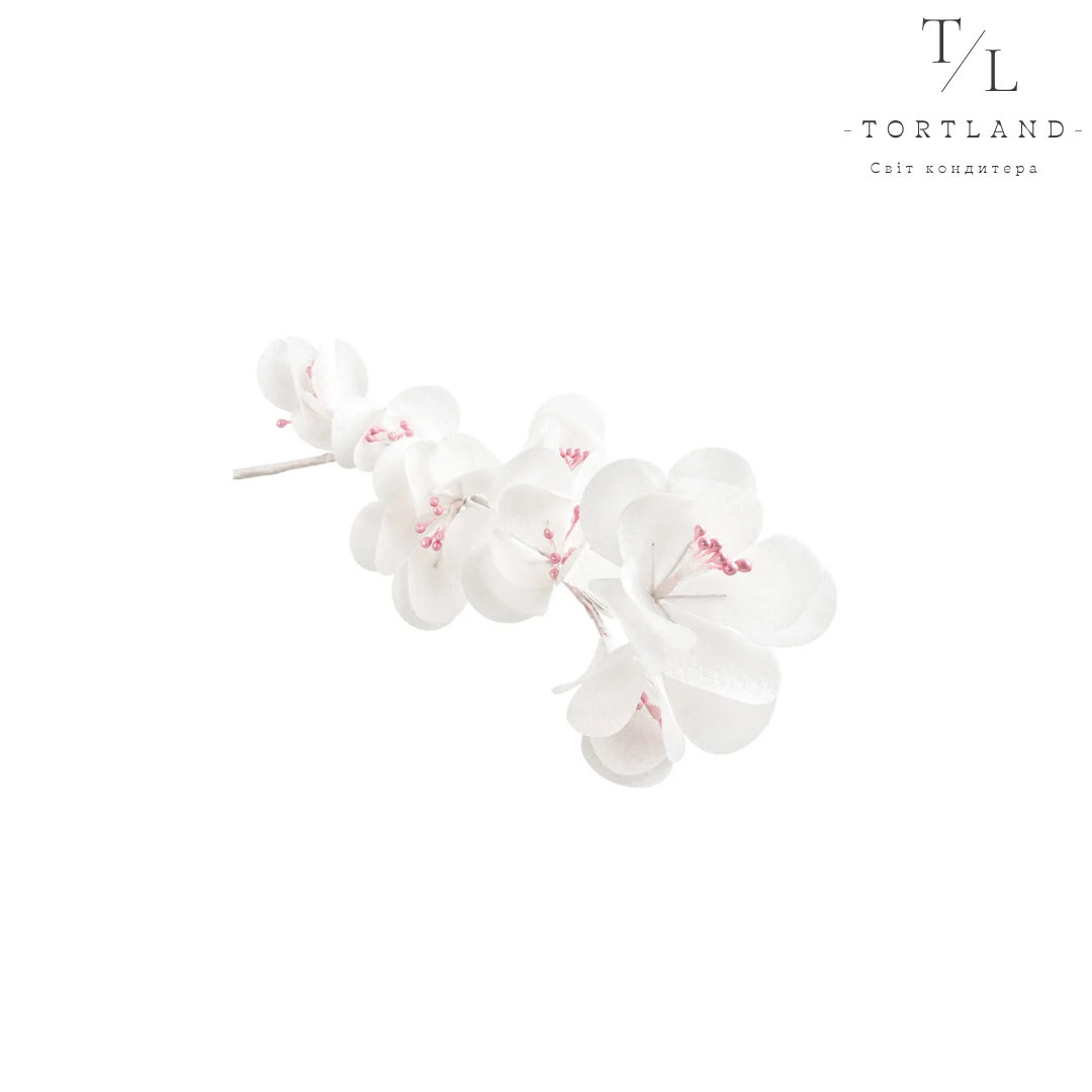 120 - 2026-07-31T162226.105