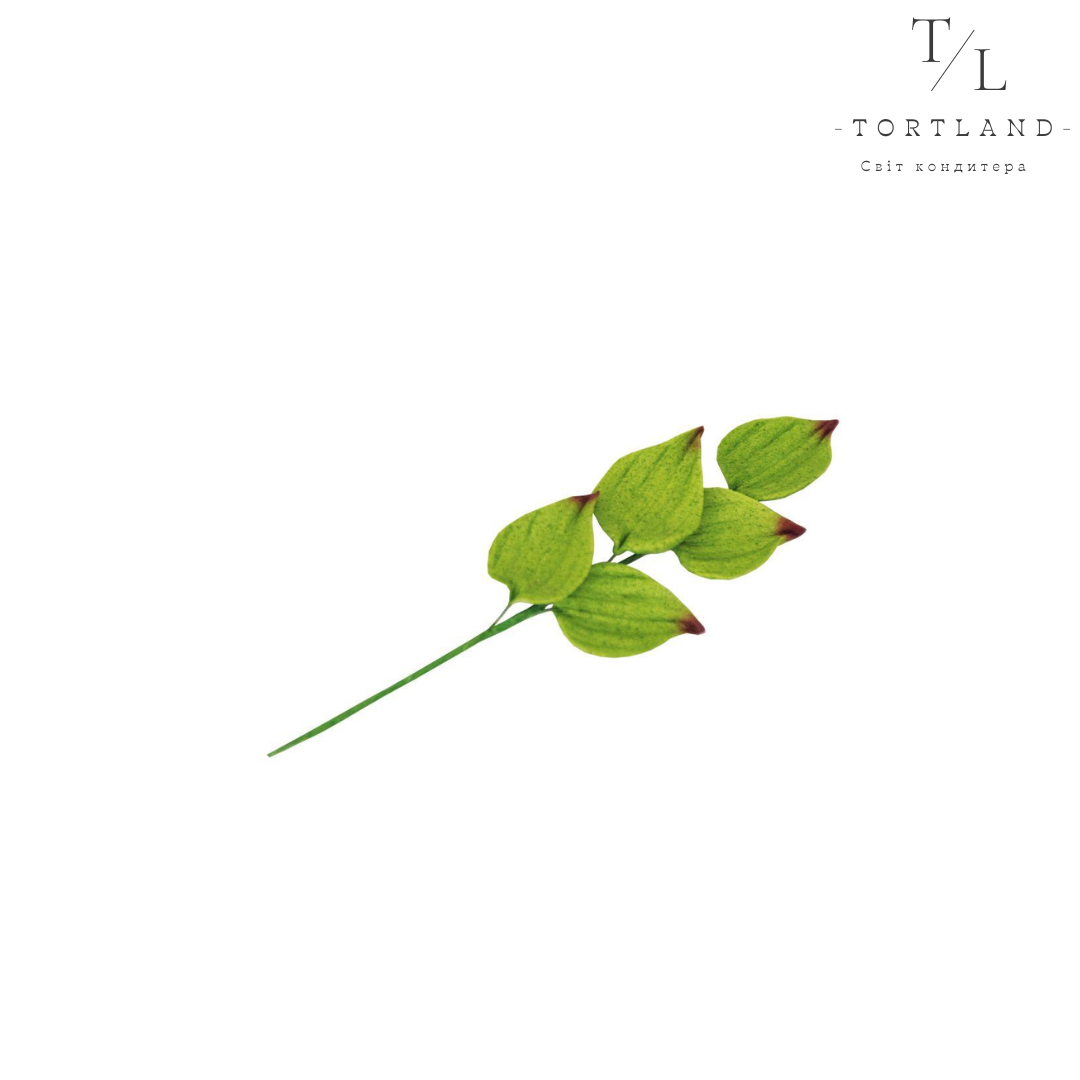 120 - 2026-08-03T184107.535